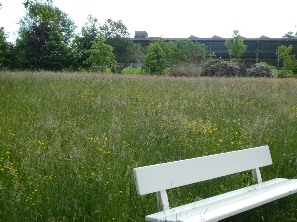 Ferienwohnung Am Hirschpark Bad Pyrmont Kültér fotó