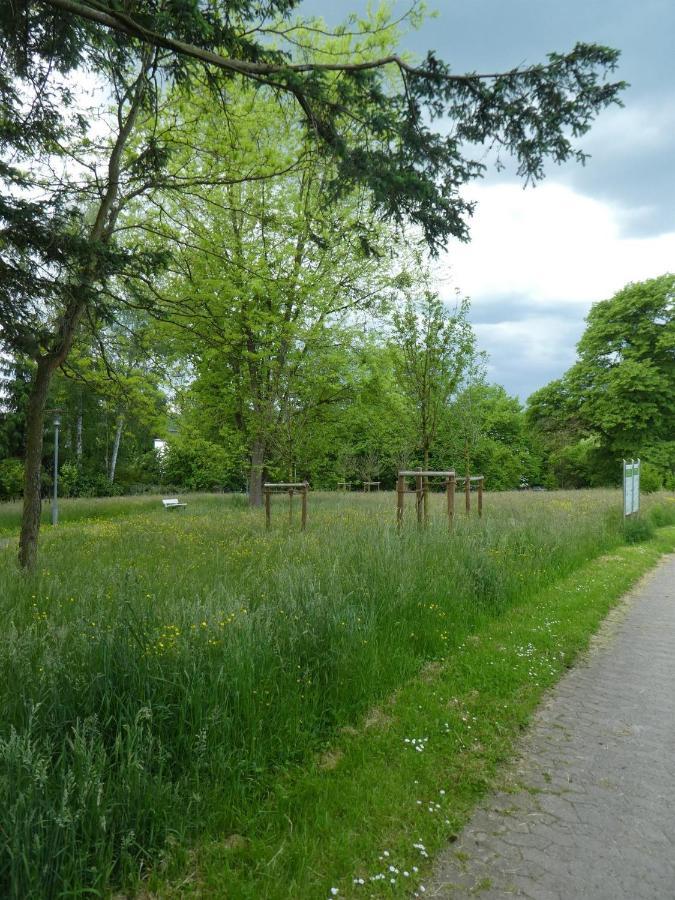 Ferienwohnung Am Hirschpark Bad Pyrmont Kültér fotó